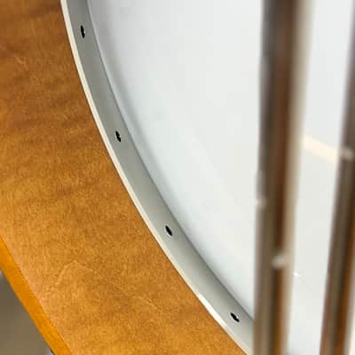 Deering Calico 5-String Banjo Demo image 21