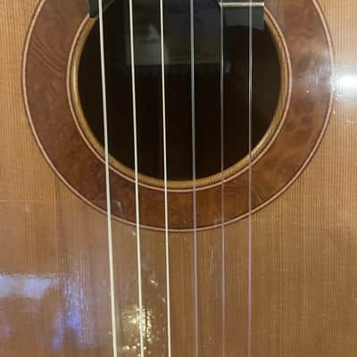 Shadowfax (Matt Jacobs) Concert Classical Guitar 2015 - Cedar/Rosewood image 5
