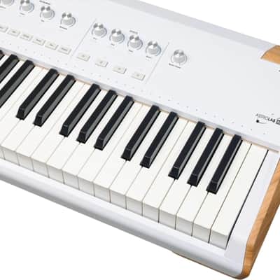 Arturia AstroLab 88-Key Stage Keyboard, White image 5