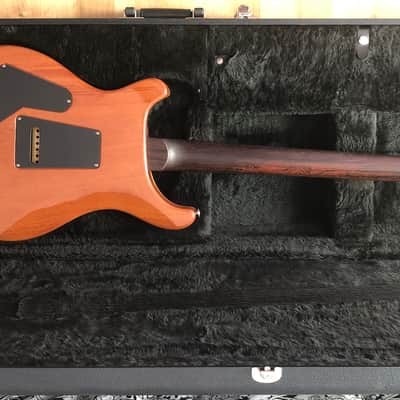 PRS Custom 24 Blue Mateo 2010 image 18