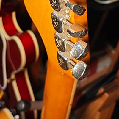 Fender  Coronado II 1967 Natural Semihollow Mod image 16