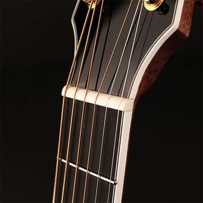 Cort Gold-A8 LB Acoustic-Electric, Auditorium, Grade A+ Solid Sitka Spruce Top, New, Free Shipping image 6