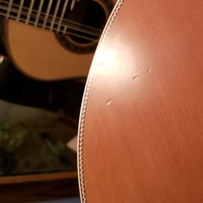seagull artist artist mosaic CW folk deluxe Qii n/a laquer matte image 10