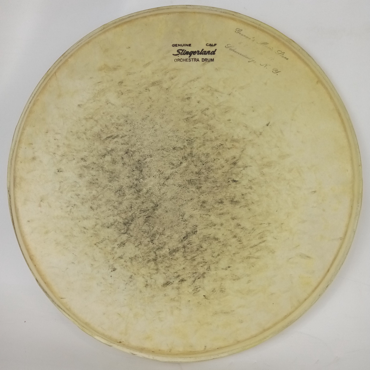 Slingerland 13" Genuine Calf Skin Tom Orchestra Drum Head Batter Vintage 50s USA — main photograph