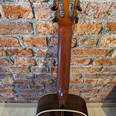 Washburn Parlor 1923 Pre-War II - Brazilian Rosewood back image 25