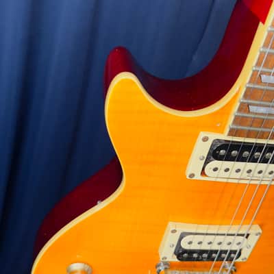 Agile Lefty Les Paul Copy Signed by Dweezil Zappa in 2018 image 9