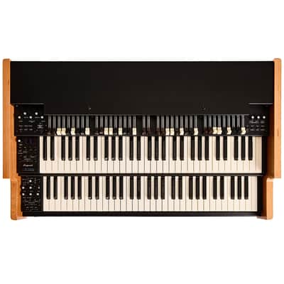 Viscount Legend 261 Dual-Manual Organ CARRY BAG KIT image 2
