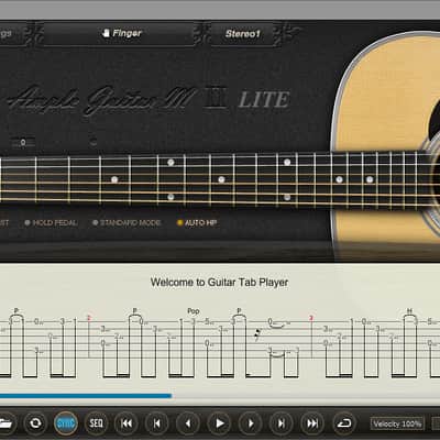 Ample Sound Ample Guitar M Lite II image 2