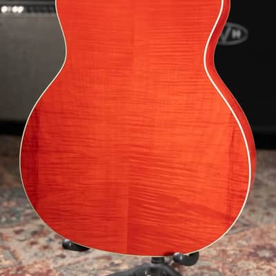 Taylor Doyle Dykes Signature Model Thin Body Grand Auditorium Acoustic/Electric Guitar with Hardshell Case image 8