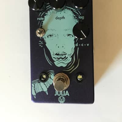 Walrus Audio Julia Analog Chorus/Vibrato Owned by Eric Cannata of Young The Giant image 1