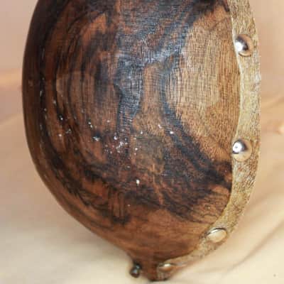 Albanian Lahuta, Lahute instrument (gusle) image 3