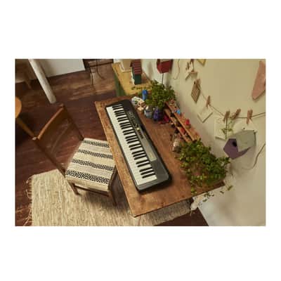 Casio 61 Piano-style keys with Touch Response image 2