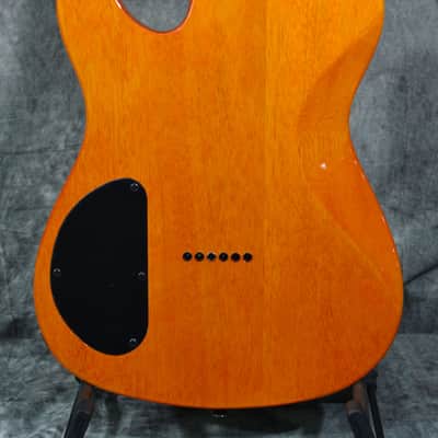Fender Special Edition Custom Telecaster HH Amber w/ FREE Same Day Shipping image 4
