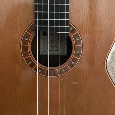 Yulong Guo Concert Model 2013 image 2