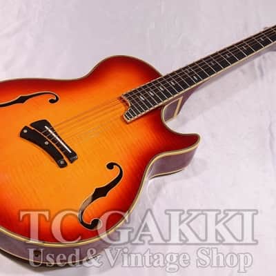 Greco CSF 90 image 2