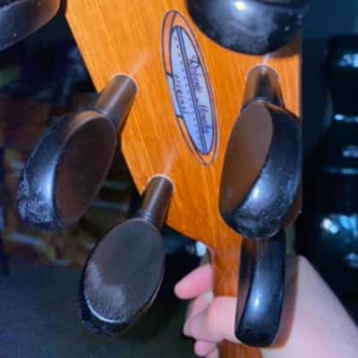 Roberto Morales Guitarron 2019 image 4