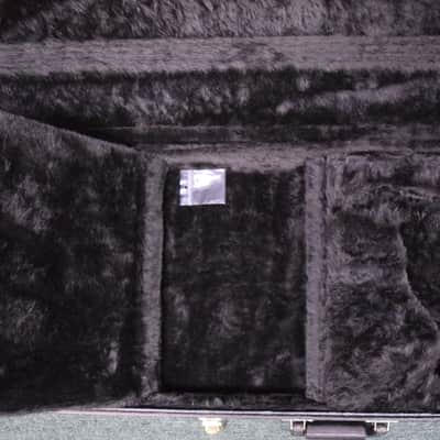 Spector Left Handed Deluxe Bass Case image 4