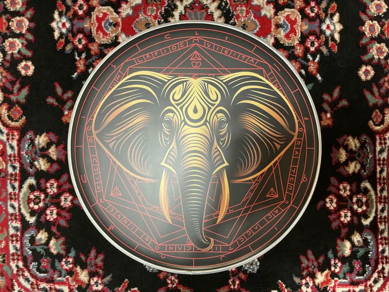 Remo Danny Carey BEAT 22” Bass Drum Head image 1