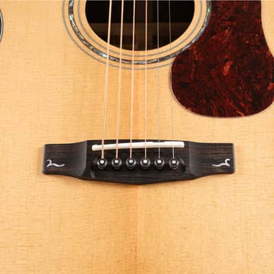 Cort Gold-OC6 Bocote Natural Gloss w/Gigbag image 6