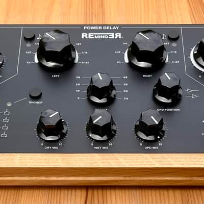Enjoy Electronics REmindER Delay Reverb Matrix Modulation image 8