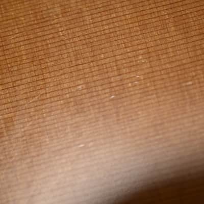 Morris S-92 III acoustic guitar (all-solid, made in Japan) image 15