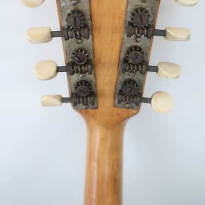 Vintage Pre War Survivor 1890s Lyon & Healy Regal Columbus Mandolinetto Guitar Shaped Mandolin Mando Rare image 8