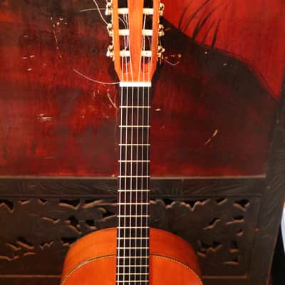 Solid Cedar + Brazilian Rosewood + Top Model From Suzuki Factory Japan + c.1978 + Nice Setup + Hard Case image 4