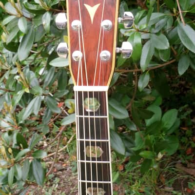 1975 Yairi YW-600 Dreadnought Guitar New Jacaranda Natural+Vintage Flight Case image 5