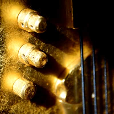 PAUL LAIRAT STEGA GOLD BASS image 4