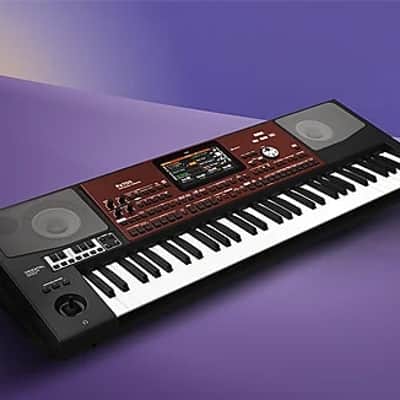 Korg Pa700 Oriental Pro Arranger, Great Keyboard for the Price !! Buy or Make Offer image 5