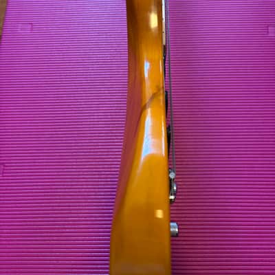 Samick Valley Arts Ray Benson Signature Series Telecaster image 12