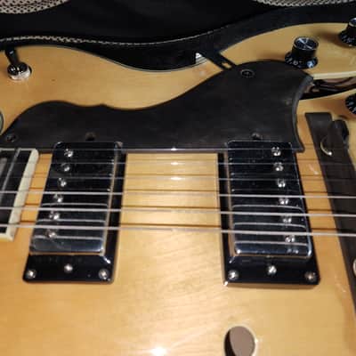 Hagstrom HJ500 Natural Gloss Hollow Body Electric Guitar – Jazz Archtop – Dual Humbuckers – Hardshell Case 2000s - 2010s - Natural Gloss Top with Dark Figured Back & Sides image 7
