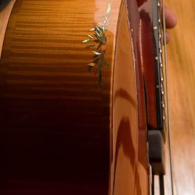 NEW PRICE! 18 " Benedetto "Custom 7 String" (like La Venezia model) 1993 Autumn sunburst Offers OK image 9