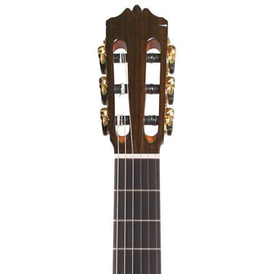 Cordoba C10 CD/IN Nylon-String Classical Acoustic Guitar (Cedar Top, Gloss Poly Finish) image 5