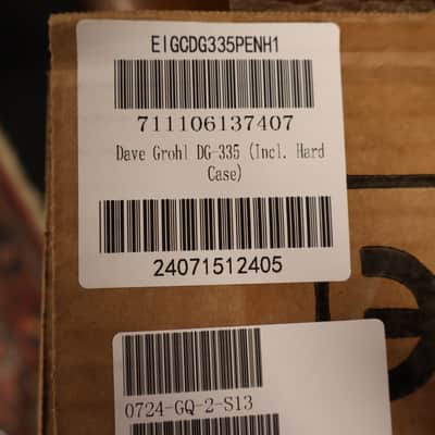 Epiphone Dave Grohl DG-335 (Incl. Hard Case) image 12