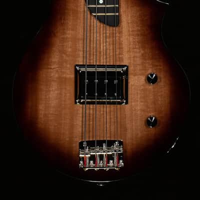 Rick Turner Model T Bass Anigre Top Bass Guitar-5623-8.50 lbs image 3