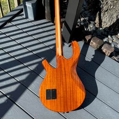 Citron AE-4 Swallow Bass 2009  - killer all around invention from Harvey Citron of Velette-Citron Basses. image 4