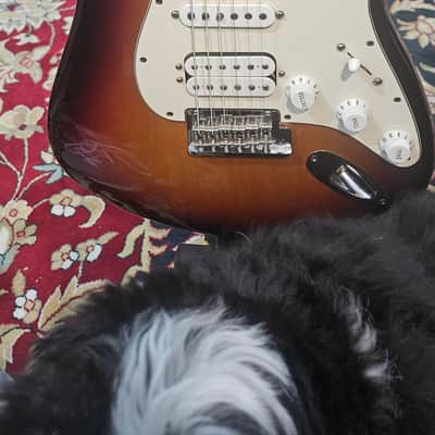 Fender USA Stratocaster HSS standard 2008 - Tobacco Sun Burst image 2