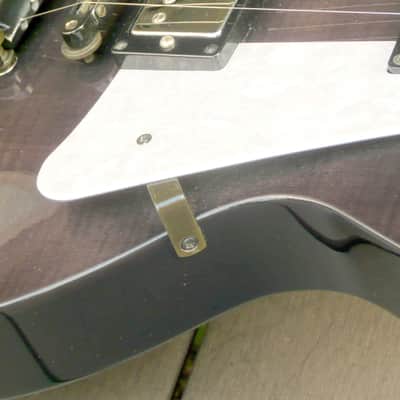 Burny LG-75JP Joe Perry model 1997 See Through Black image 10