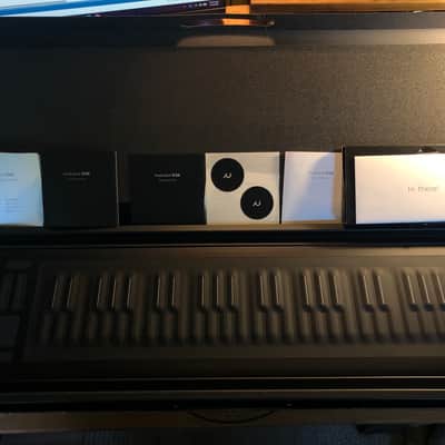 ROLI Seaboard RISE 49 2010s - Black image 6