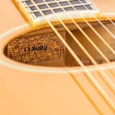 Daion The Year Series '81 Caribou - Tinted Tan (TAN) - Electric Acoustic Six String image 22