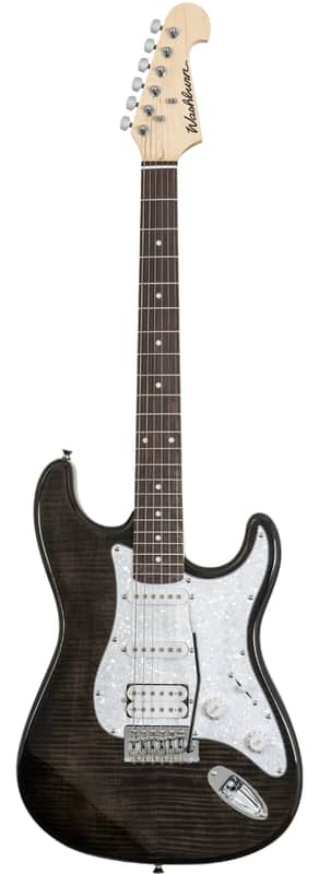 Washburn Sonamaster SDFTB Deluxe Transparent Black image 1