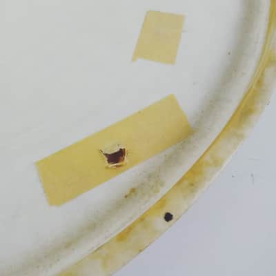 Gretsch/Rogers? 16" Floor Tom Drum Head Calf Skin Batter Vintage 40s-50s USA image 5