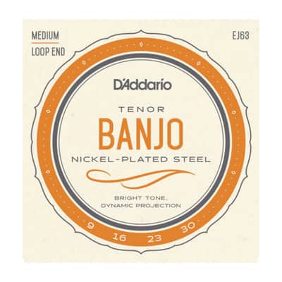 DAddario EJ63 Tenor Banjo image 1