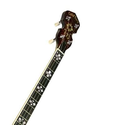 Gold Tone TS-250/L Tenor Special 4-String Banjo w/Hardshell Case For Left Handed Players image 7