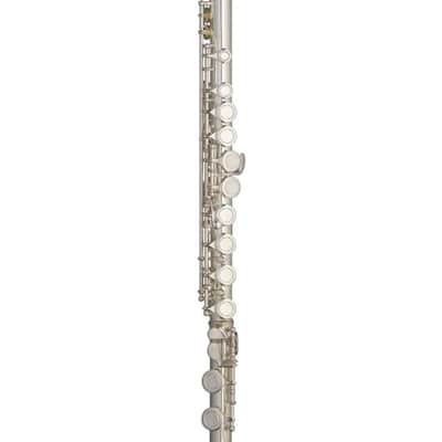 Stagg WS-FL111 C Flute Closed Holes Offset G Split E w/Soft Case, Cleaning Swab, Cloth & Gloves image 5