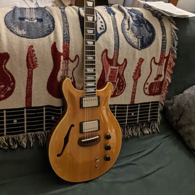 Hamer Duo Tone image 1