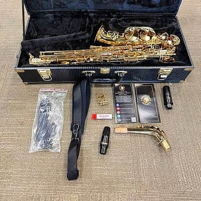 2008 Cannonball Sceptyr Alto Sax, w/ OHSC, 2- Mouthpieces, 2- Straps, Cork Grease Execellent Condition image 2
