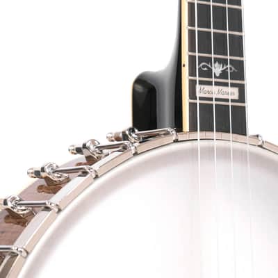 Gold Tone CEB-4: Marcy Marxer Signature 4-String Cello Banjo with Case image 4