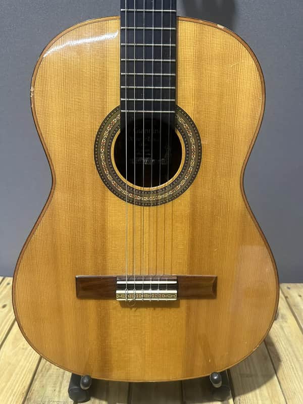 Acoustic Gianni Series Classica Savio 1994 image 1